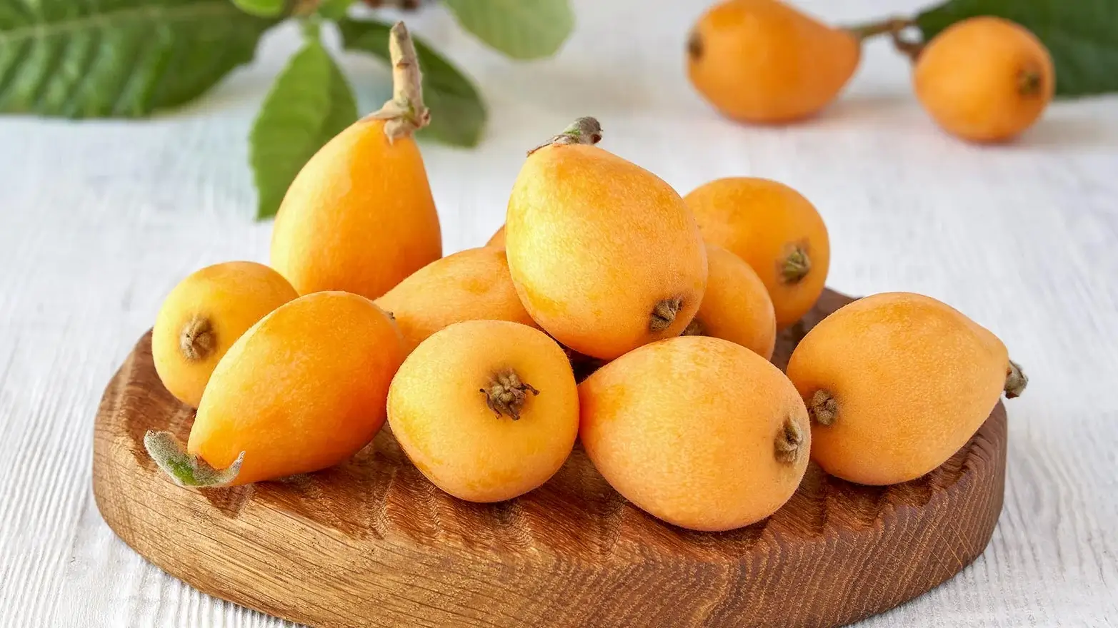 Loquats