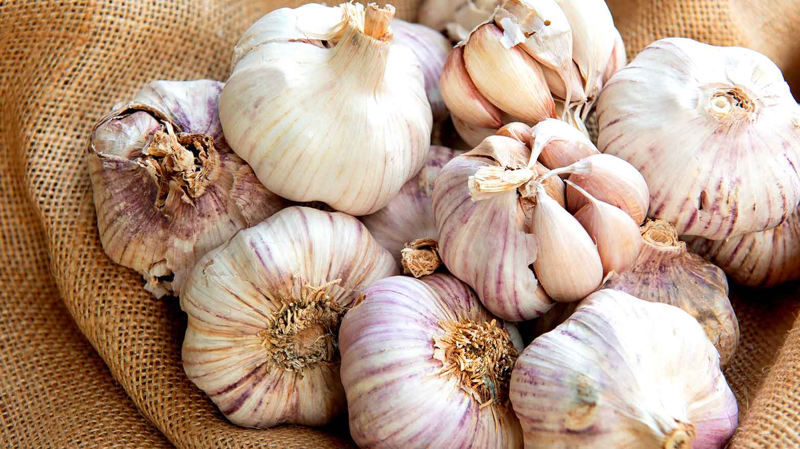 A pile of garlic heads on a brown counter