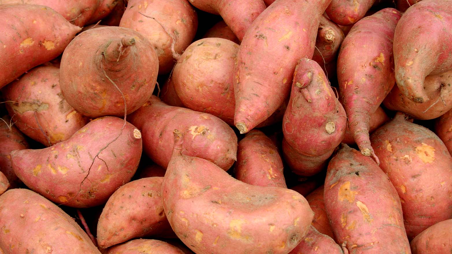 sweet potato summer vegetable.