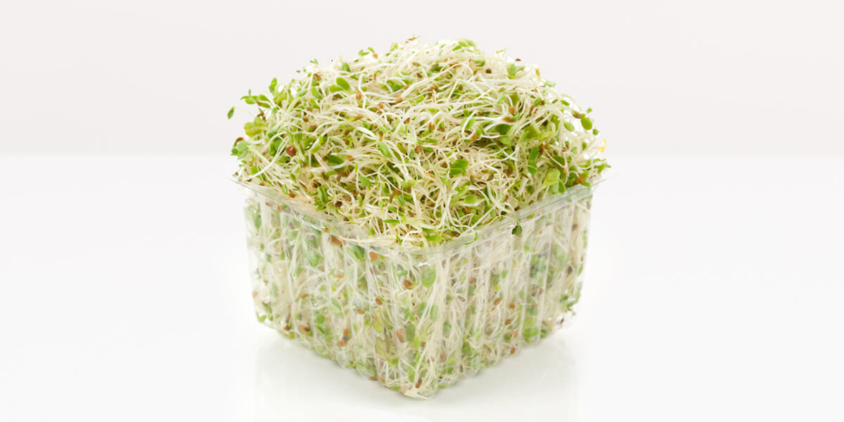 Alfalfa Sprouts - All You Need to Know | The Instacart Guide to Fresh ...