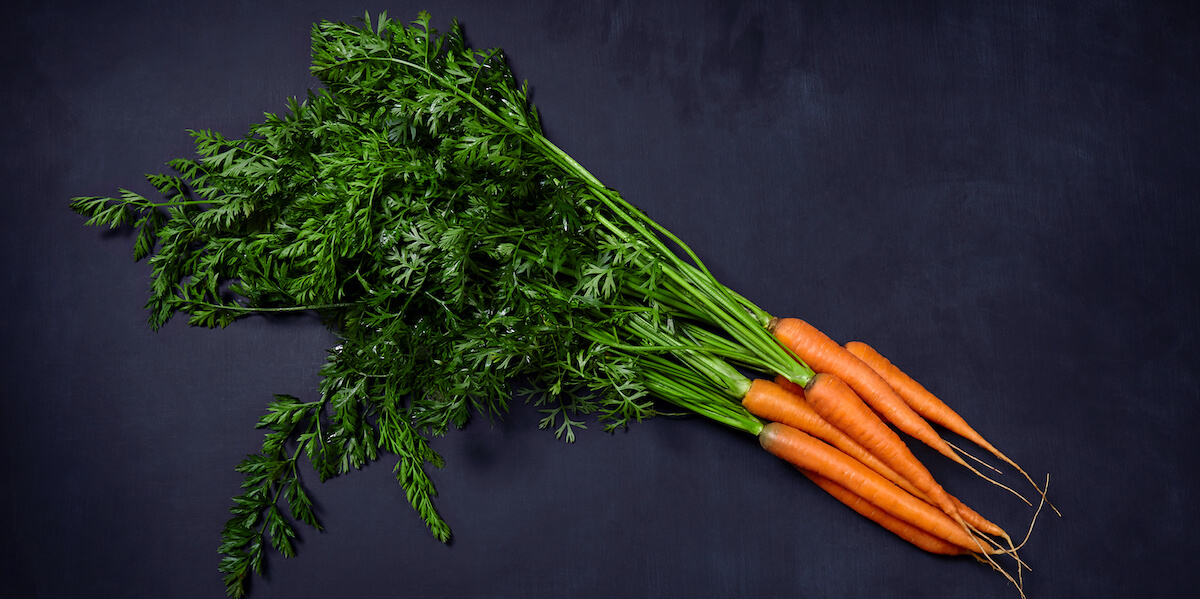 A heap of fresh organic carrot on black background.