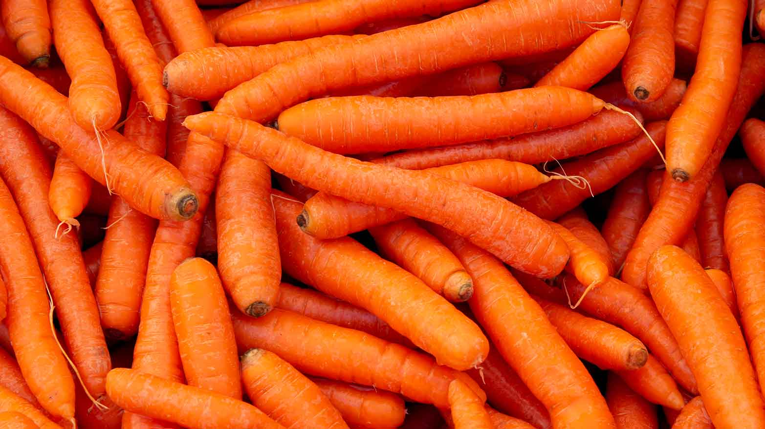Carrots are sweeter in winter.