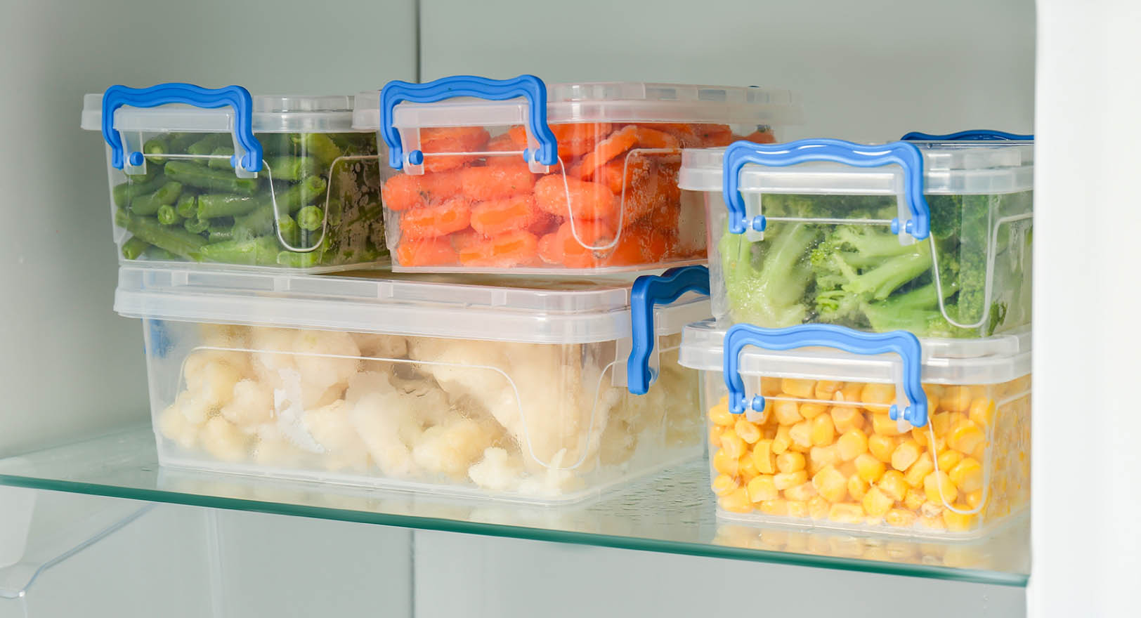 A photo of assorted vegetables in clear storage containers inside a fridge.