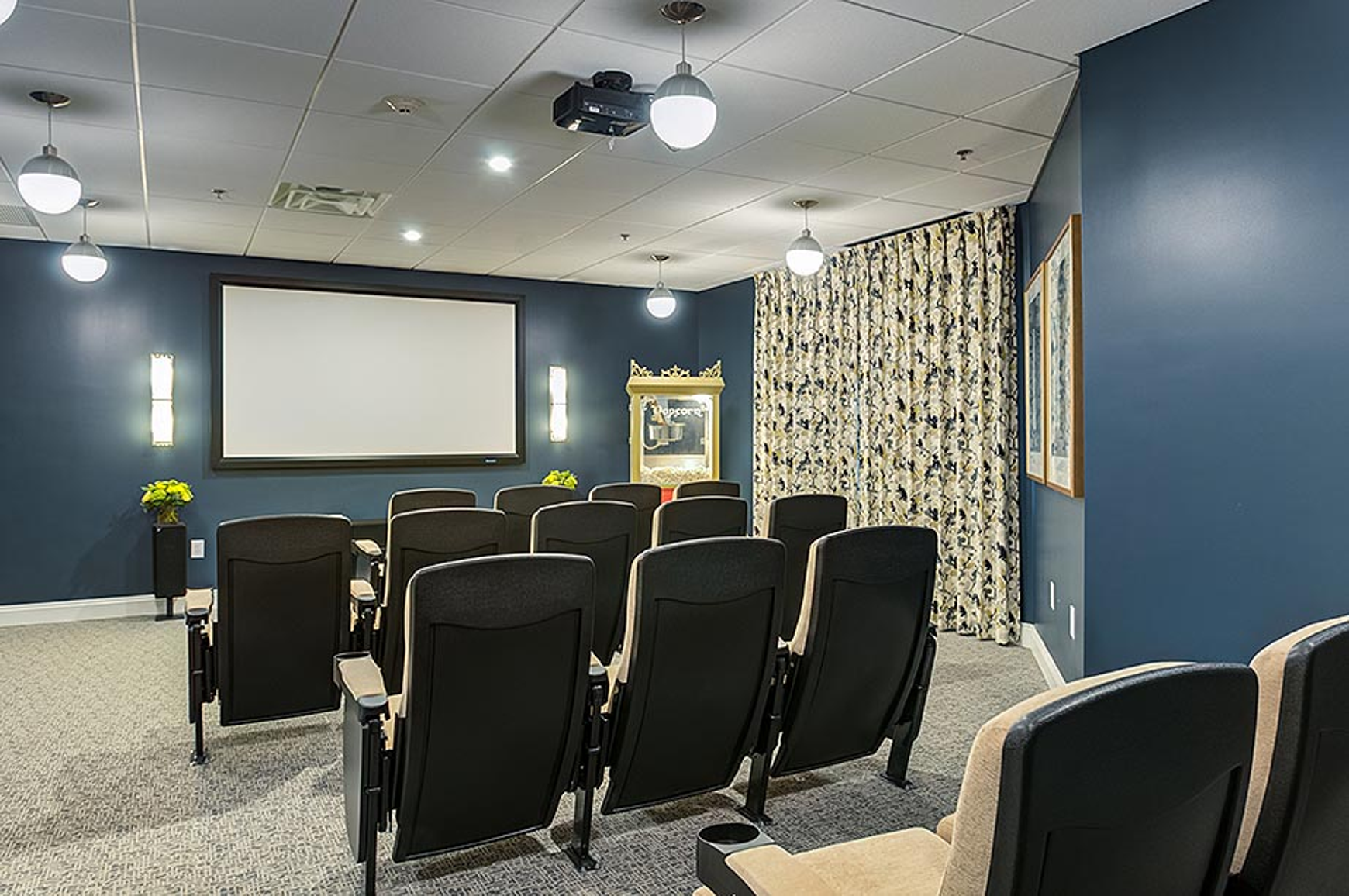 Cinema with widescreen TV and screening room seating