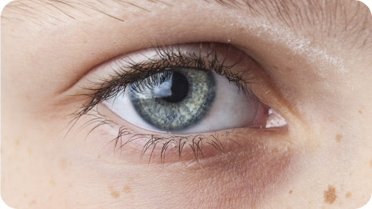 A light blue eye close up