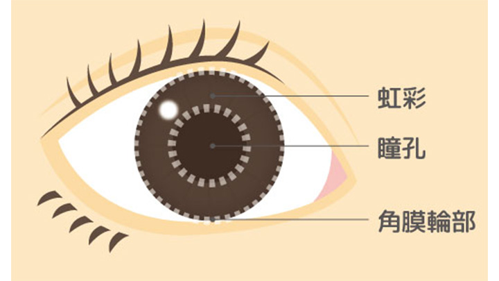 アイリスレジトレーション 治療データと治療領域を一致させる技術虹彩紋理認識システム