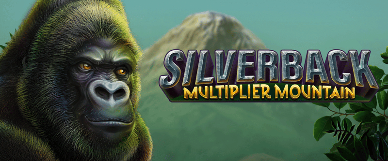 Silverback Multiplier Mountain - Game Title