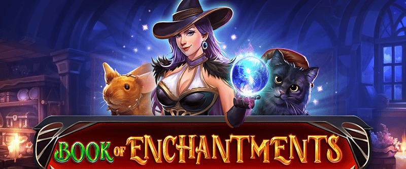 Book Of Enchantments - Game Title
