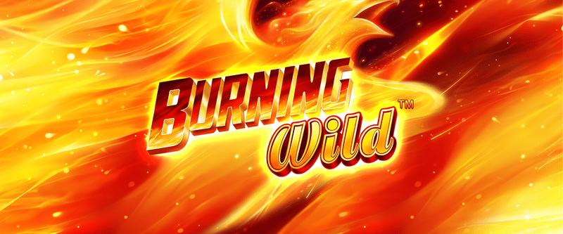 Burning Wild (Direct) - Game Title