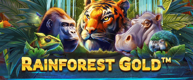 Rainforest Gold - Game Title