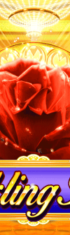 Sparkling Roses - Game Title