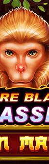 Fire Blaze: Golden Macaque - Game Title