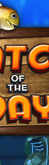 Catch of the Day - Game Title