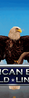 Wild Lines: American Eagle - Game Title