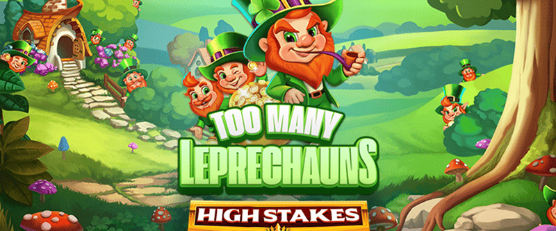 Too Many Leprechuauns High Stakes - Game Title