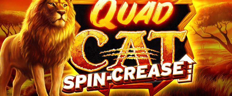 Quad Cat - Game Title