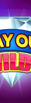 Way Out Wilds - Game Title