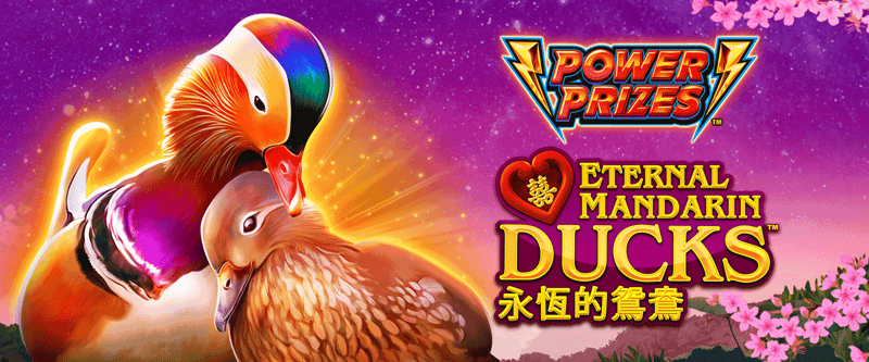 POWER PRIZES - Eternal Mandarin Ducks - Game Title