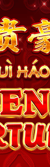Fu Gui Hao Men Splendid Fortunes - Game Title