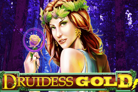 Druidess Gold - Game Title