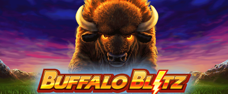 Buffalo Blitz (MI/PA) - Game Title