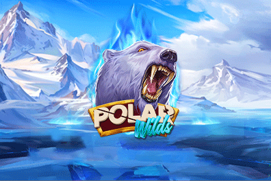 Polar Wilds Arctic Circles - Game Title