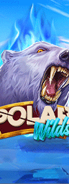 Polar Wilds Arctic Circles - Game Title
