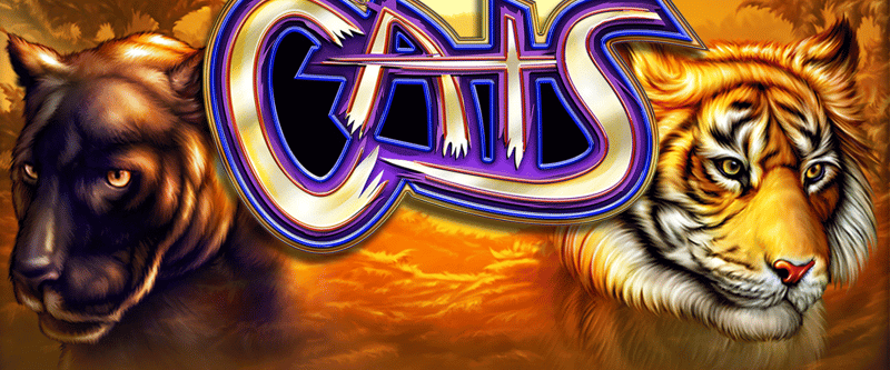 Cats High Limit - Game Title