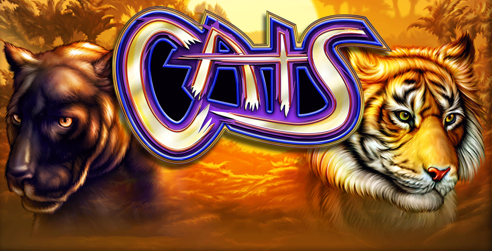 Cats - Game Title