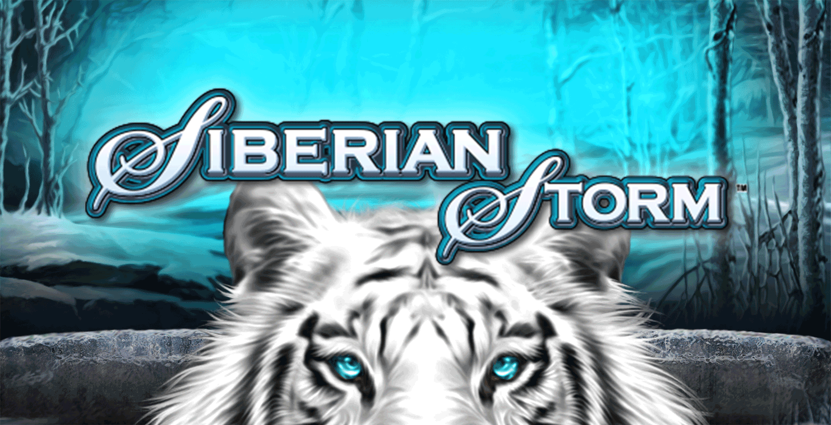 Siberian Storm - Game Title