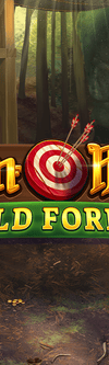Robin Hoods Wild Forest - Game Title