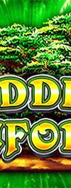 Hidden Rainforest - Game Title