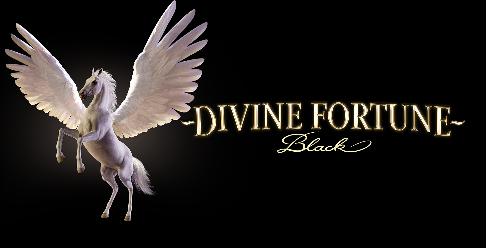 Divine Fortune Black (ON) - Game Title