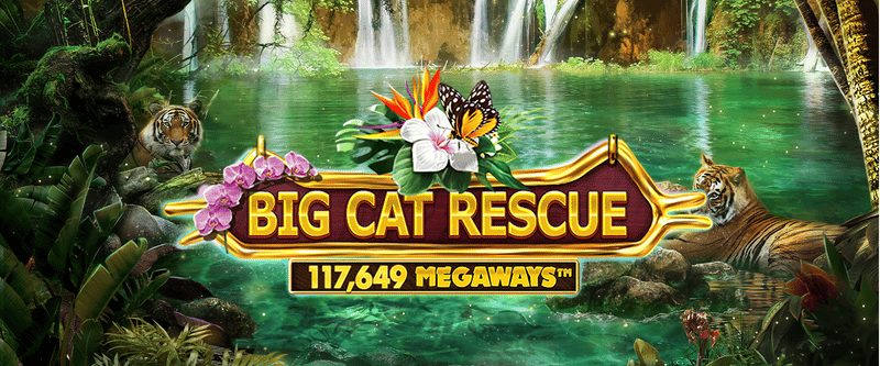 Big Cat Rescue Megaways - Game Title