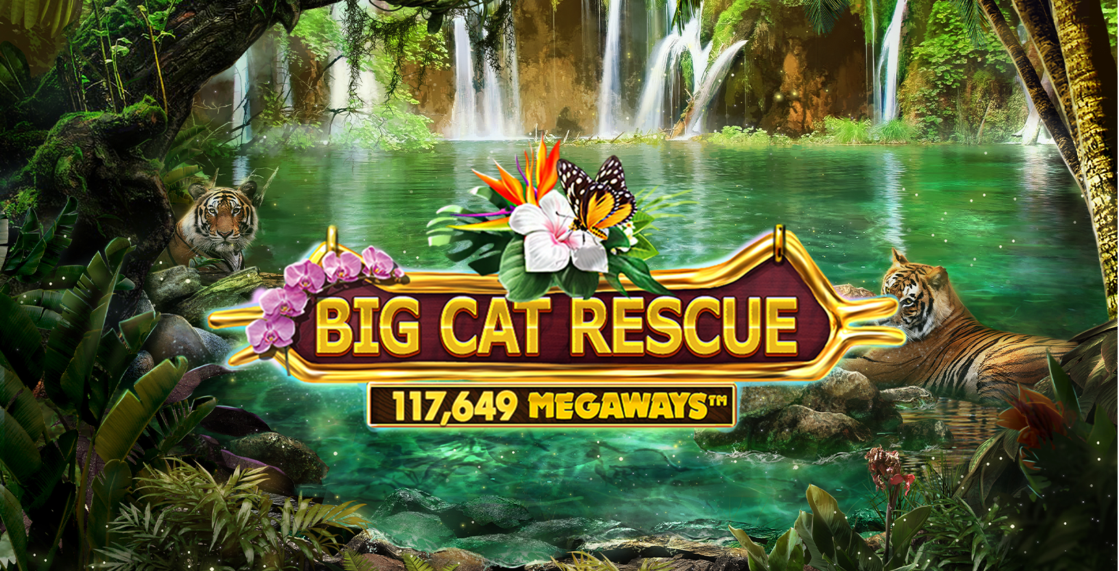 Big Cat Rescue Megaways - Game Title