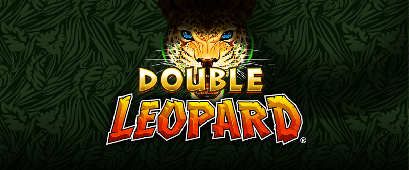Double Leopard - Game Title