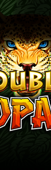Double Leopard - Game Title