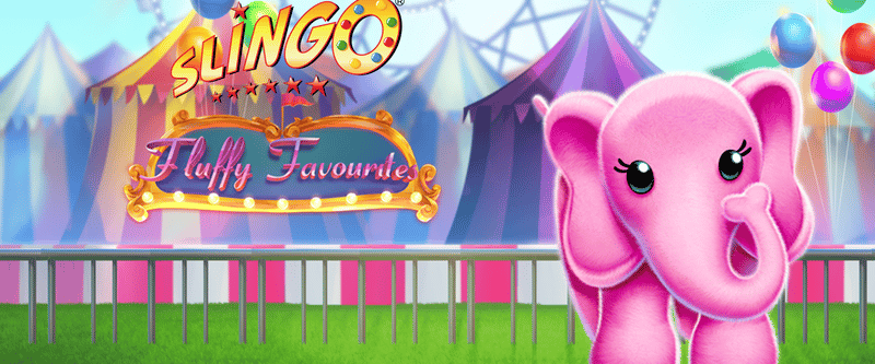 Slingo Fluffy Favorites - Game Title