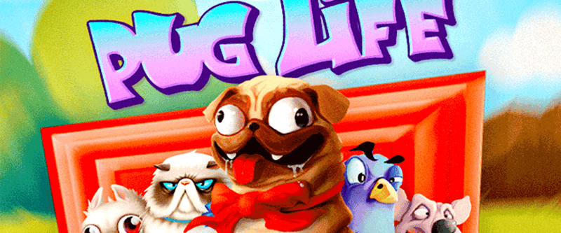 Pug Life (NJ) - Game Title