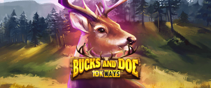 Buck and Doe 10K Ways - Game Title