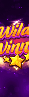Wild Winner - Game Title