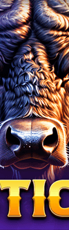 Majestic Bison - Game Title