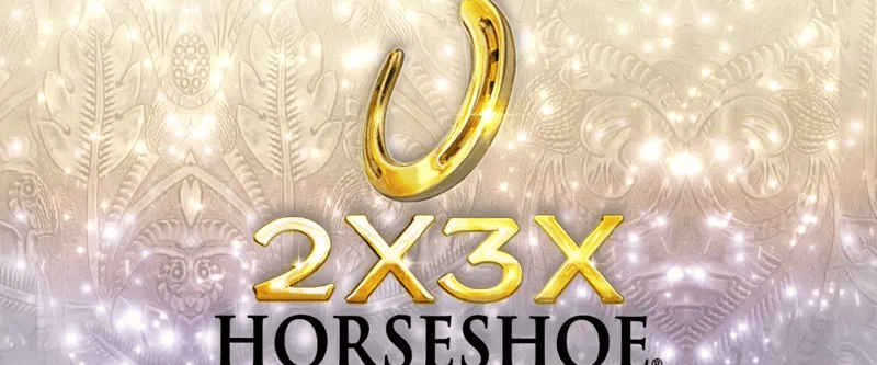 2x3x Horseshoe - Game Title