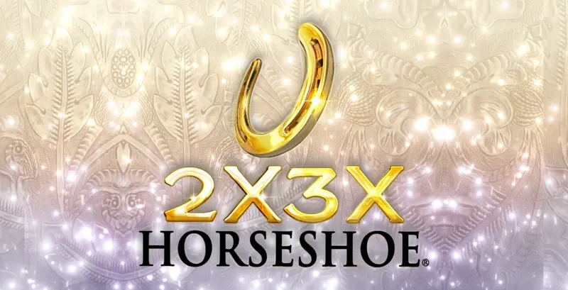 2x3x Horseshoe - Game Title
