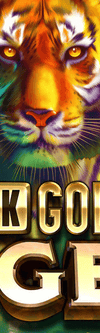 24K Gold Tiger - Game Title