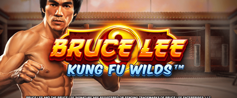 Bruce Lee - Kung Fu Wilds - Game Title