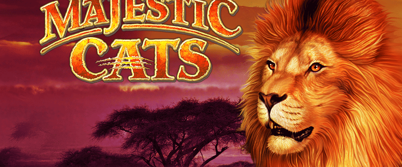 Majestic Cats - Game Title
