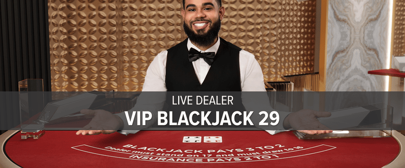 Blackjack VIP 29 - Game Title