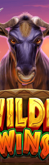Wild Wildebeest Wins - Game Title