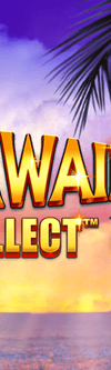 Cash Collect: Alohawaii - Game Title